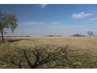 Tract 18 - LAND & MINERAL ACRES OKLAHOMA AUCTION, 588+/- Land & Producing Mineral Acres offered in 24 Tracts in Okmulgee County